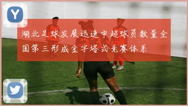 湖北足球发展迅速中超球员数量全国第三形成金字塔式竞赛体系