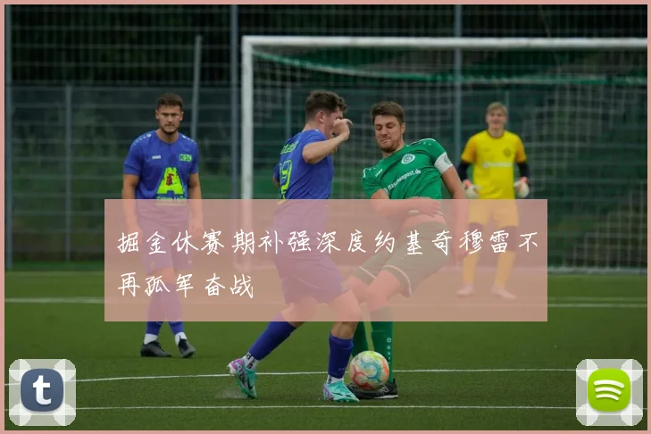 掘金休赛期补强深度约基奇穆雷不再孤军奋战