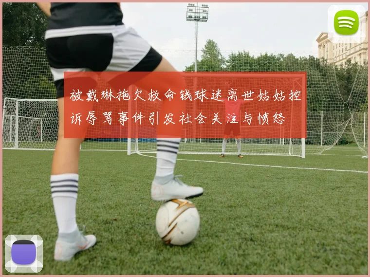 被戴琳拖欠救命钱球迷离世姑姑控诉辱骂事件引发社会关注与愤怒